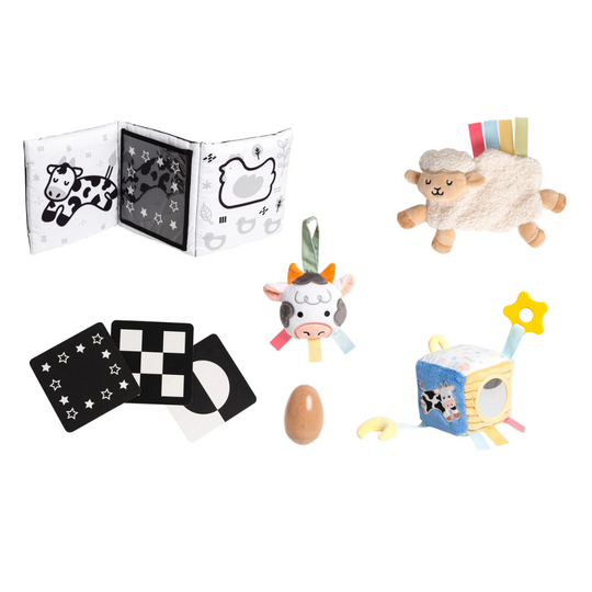 Pearhead Learning Kit (0-6 months)