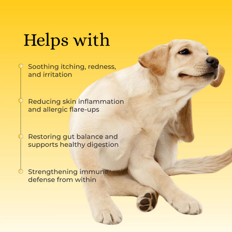 H&JIN Barrier for Pets – Allergy Relief Probiotic | Japan (90 tablets)