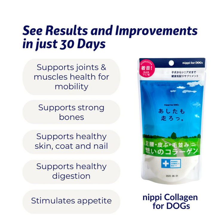 Nippi Collagen for Dogs Starter Pack/40g