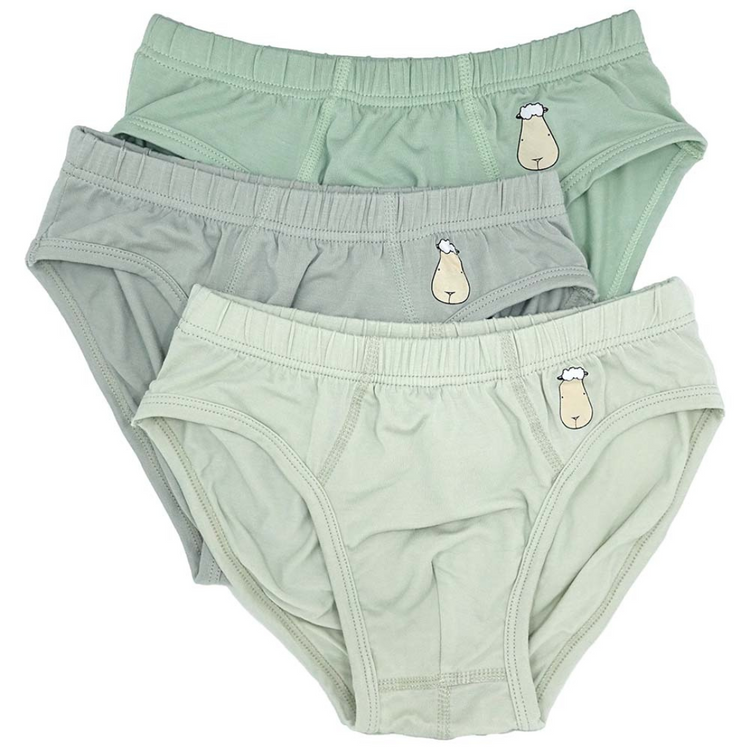 Baa Baa Sheepz Boys Briefs C003-B 3pcs