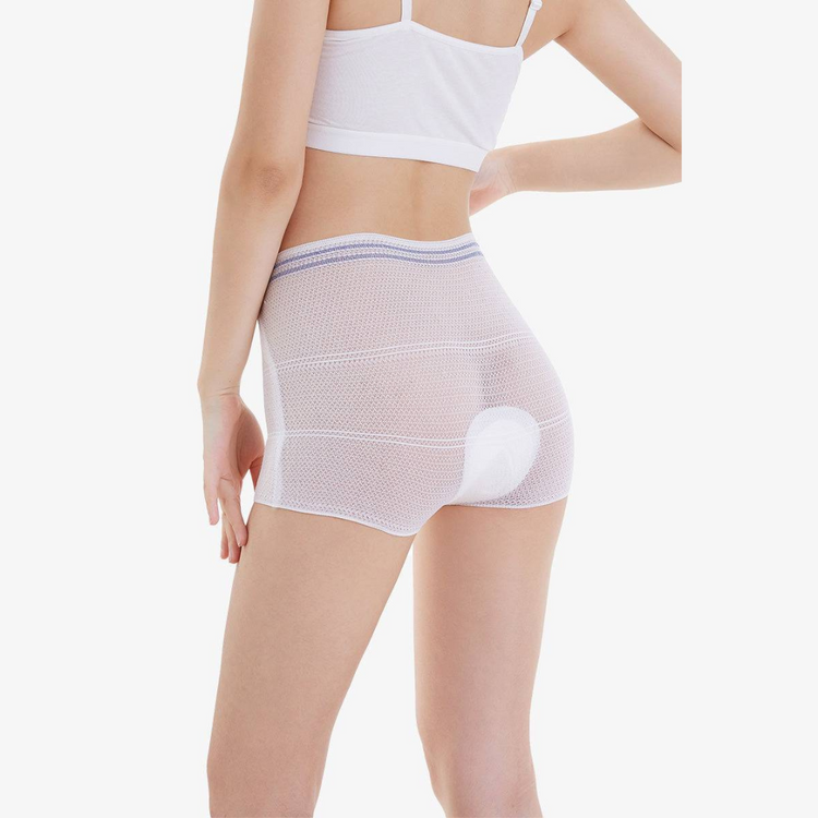 Shapee Postpartum Mesh Panties (5pcs)