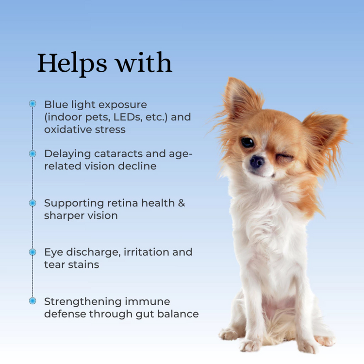 H&JIN Clear for Pets - Eye Care Probiotic | Japan (90 tablets)