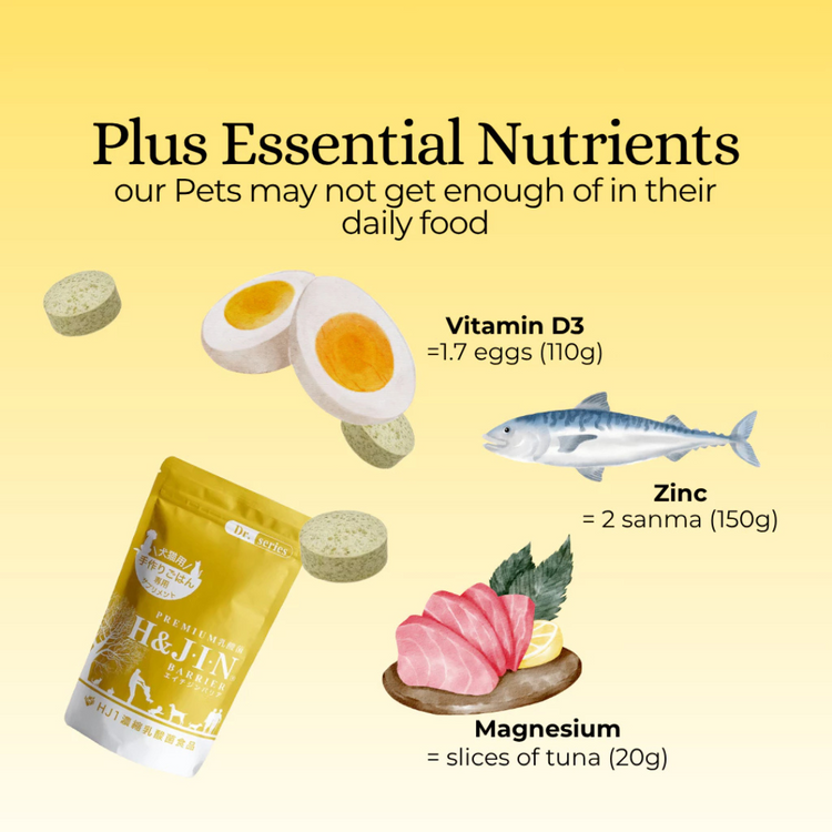 H&JIN Barrier for Pets – Allergy Relief Probiotic | Japan (90 tablets)