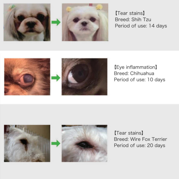 H&JIN Clear for Pets - Eye Care Probiotic | Japan (90 tablets)