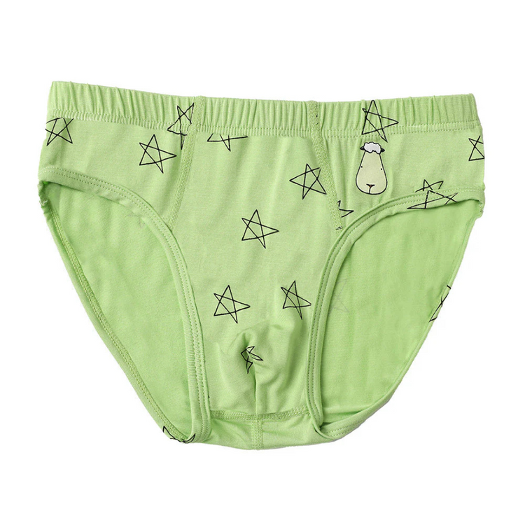 Baa Baa Sheepz Boys Briefs C011-B 3pcs