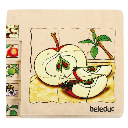Beleduc 5 in 1 Layer Puzzle (Apple) (4Y+)