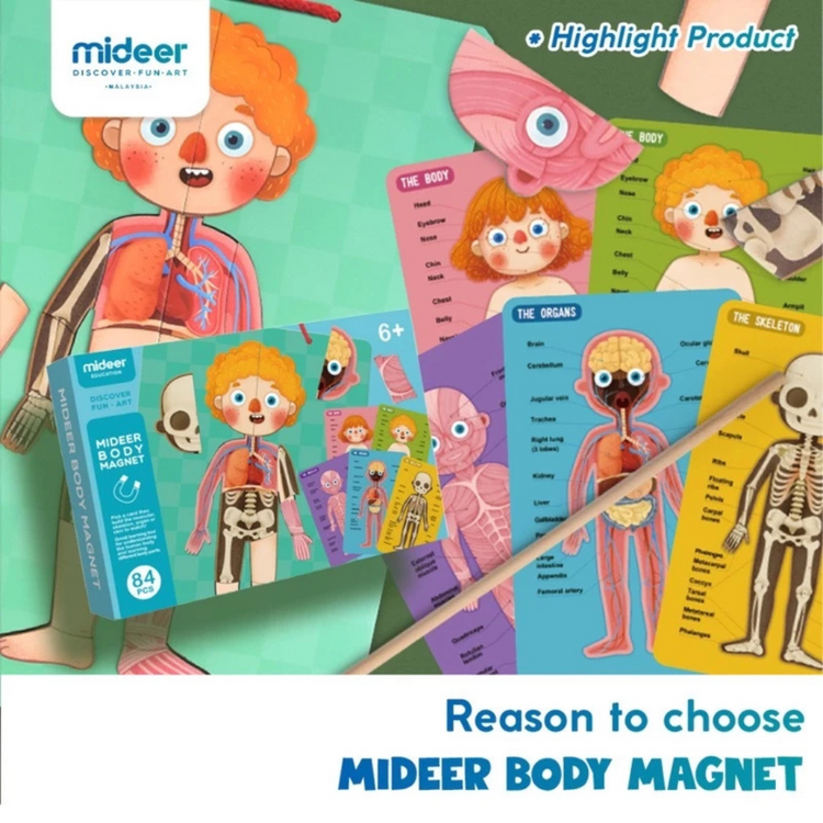 Mideer Body Magnet Puzzle 7 Languages (90 Pcs) (6Y+)