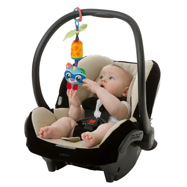 Playgro 0186975 Cheeky Chime Rocky Raccon (0m+)
