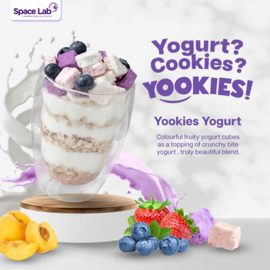 Space Lab Freeze Dried Yogurt Cookies 26g