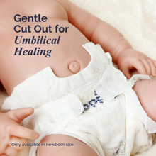 Translation missing: ms.sections.featured_product.gallery_thumbnail_alt