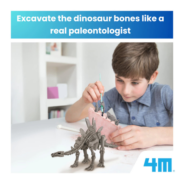 4M KidzLabs - Dig a Stegosaurus Skeleton (8Y+)