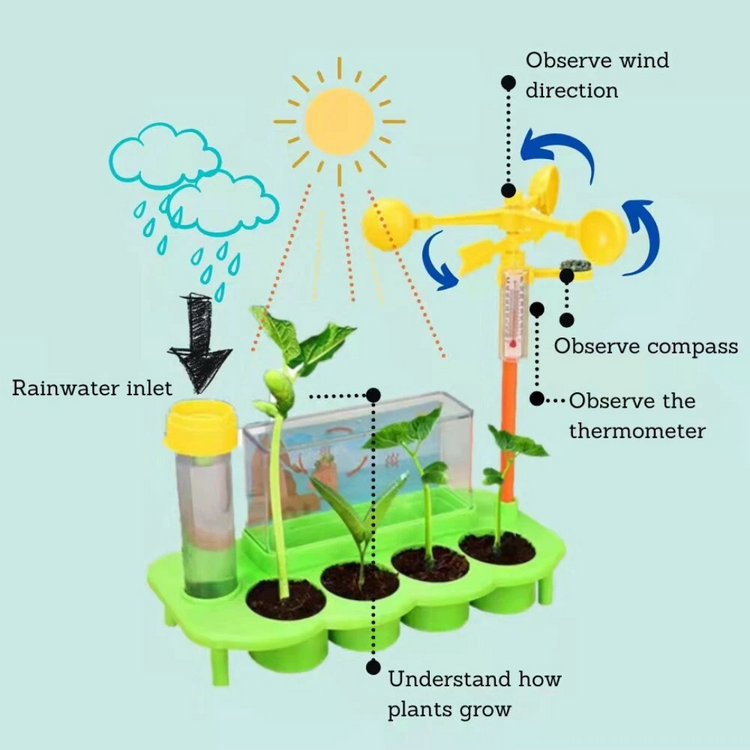 DAI Stem Weather Station (8Y+)