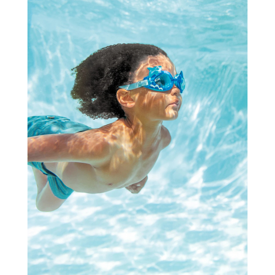 Intex Fun Goggles IT 55610 (Random Design)