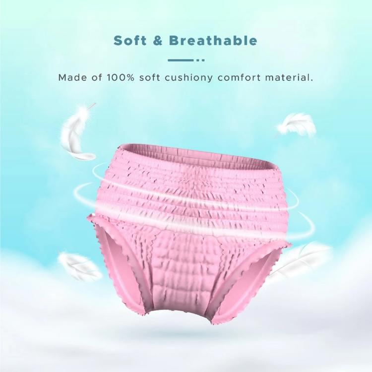 Shapee Overnite Sanitary Panties 3pcs (S-M, L-XL)