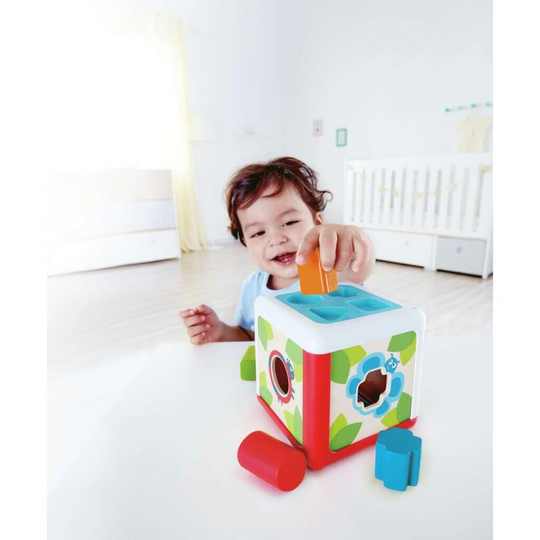 Hape 0507 Shape Sorting Box From 12 months