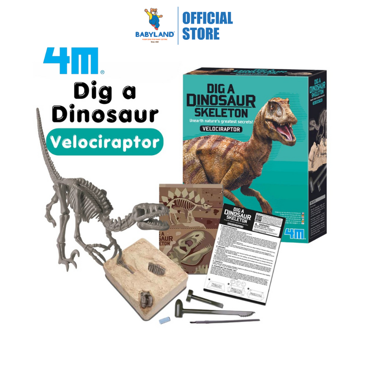 4M KidzLabs - Dig a Velociraptor Skeleton (8Y+)