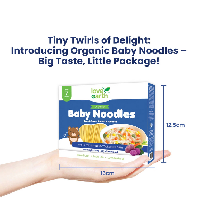 Love Earth Organic Baby Noodles 200g (40g X 5servings) (7m+)