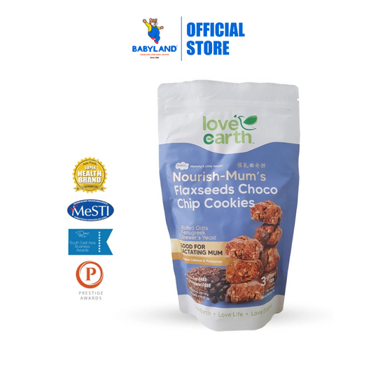 Love Earth MamaBliss Flaxseed Choco Chip Cookies 280g