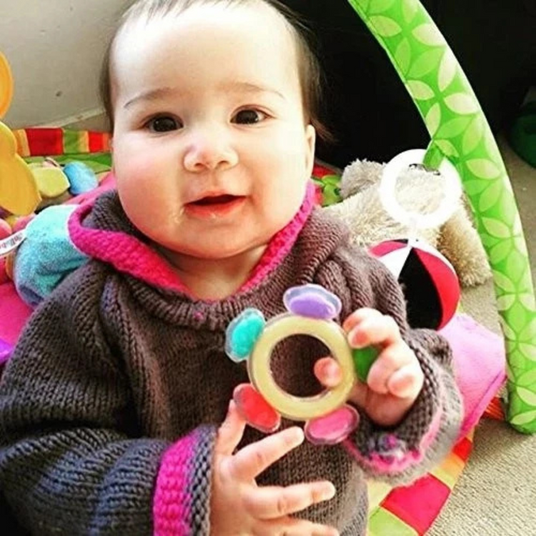 Haakaa Silicone Ferris Wheel Teether (3m+)