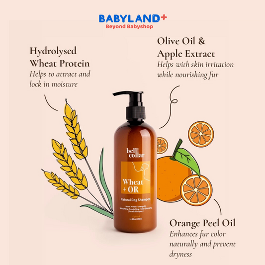 Bell & Collar Wheat + Orange natural pet shampoo 350ml : Fur color enhancing and deodorizing.