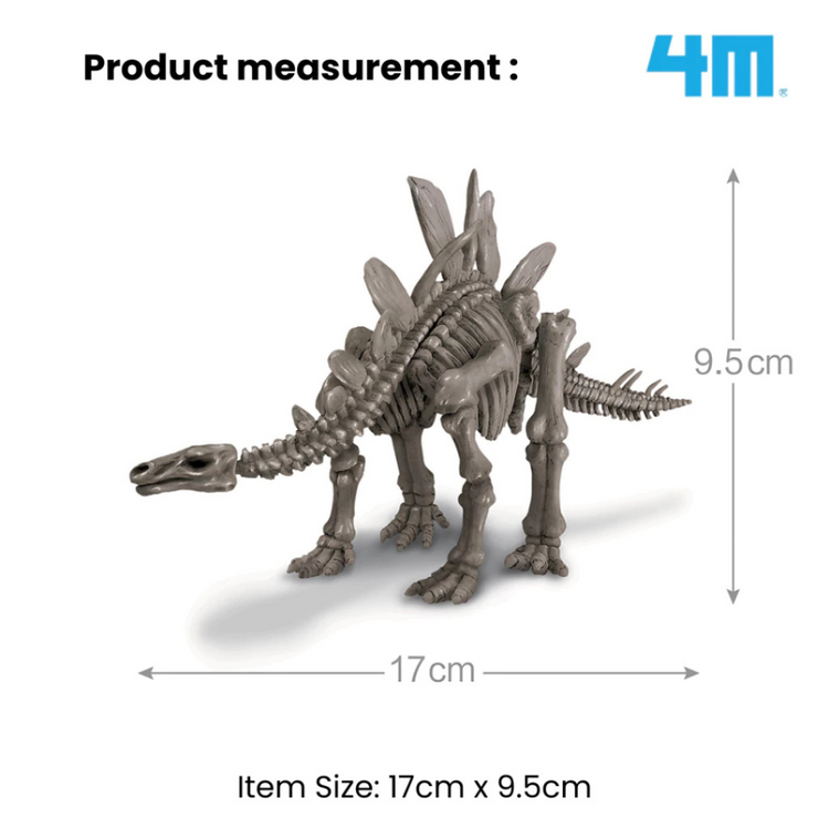 4M KidzLabs - Dig a Stegosaurus Skeleton (8Y+)