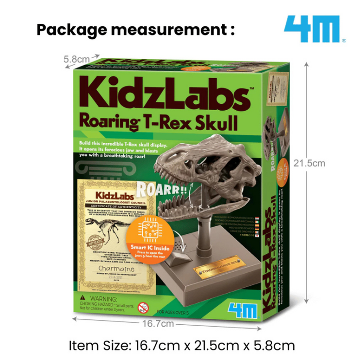 4M KidzLabs - Roaring T-Rex Skull (5Y+)