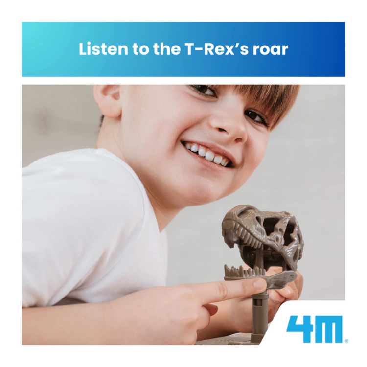 4M KidzLabs - Roaring T-Rex Skull (5Y+)