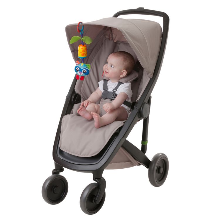Playgro 0186975 Cheeky Chime Rocky Raccon (0m+)