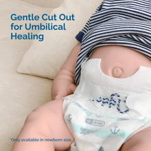 Translation missing: ms.sections.featured_product.gallery_thumbnail_alt