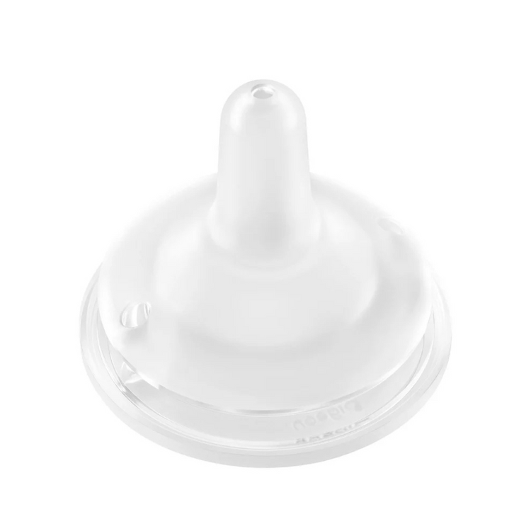 Pigeon Softouch BPP Step Up Straw Bottle Set (6m+)
