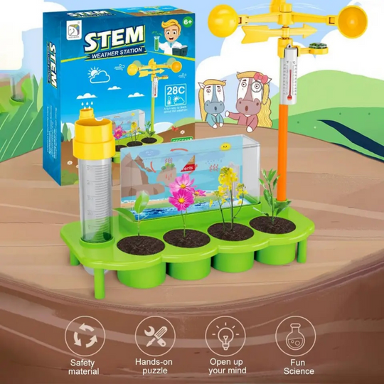 DAI Stem Weather Station (8Y+)