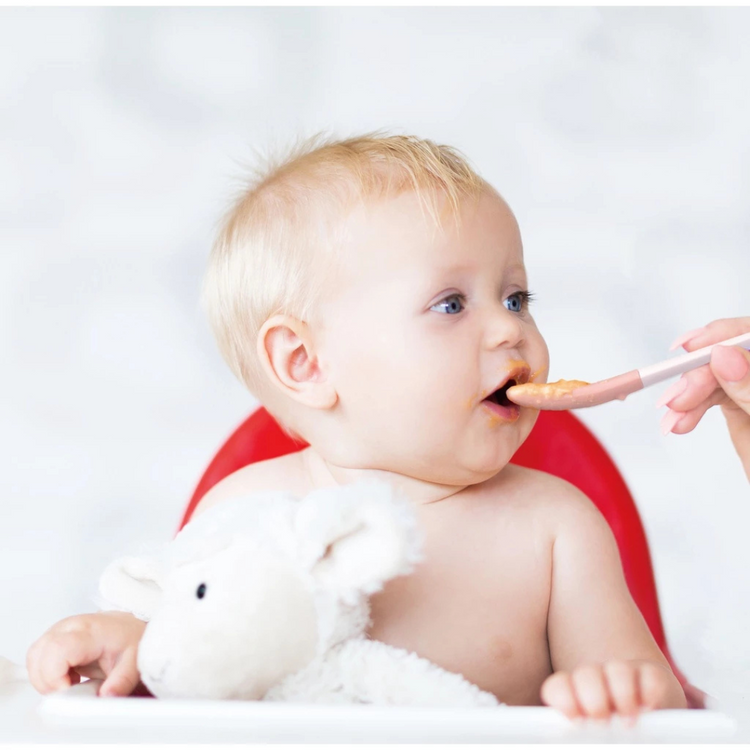 Miniware Pre2Pro Feeding Spoon Set