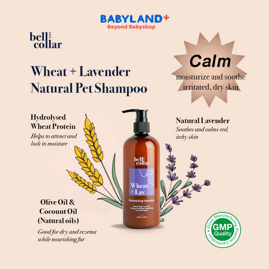 Bell & Collar Wheat + Lavender natural pet shampoo 350ml : itch relief/sensitive skin/anti flea