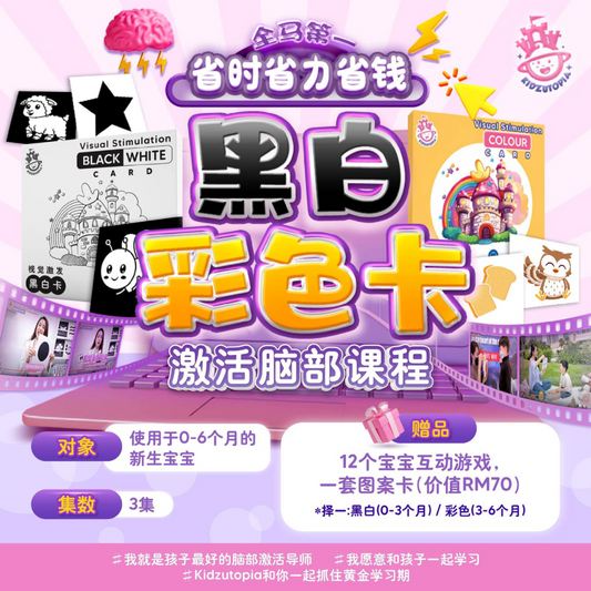 Kidzutopia Visual Stimulation Card - Colour