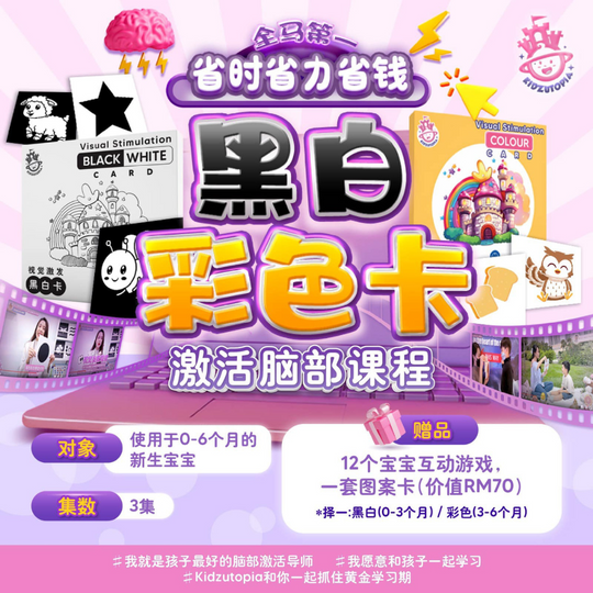 Kidzutopia Visual Stimulation Card - Colour