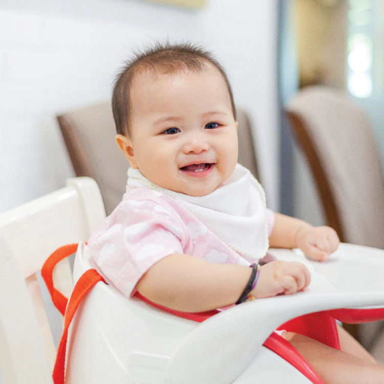 Suzuran Baby Gauze Handkerchief (5pcs)