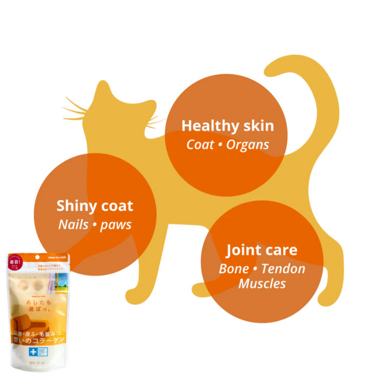 Nippi Collagen for Cats Starter Pack/40g