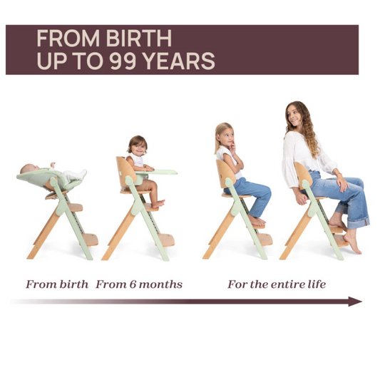 Chicco Meraviglia Highchair - From 6M+ till 110kg
