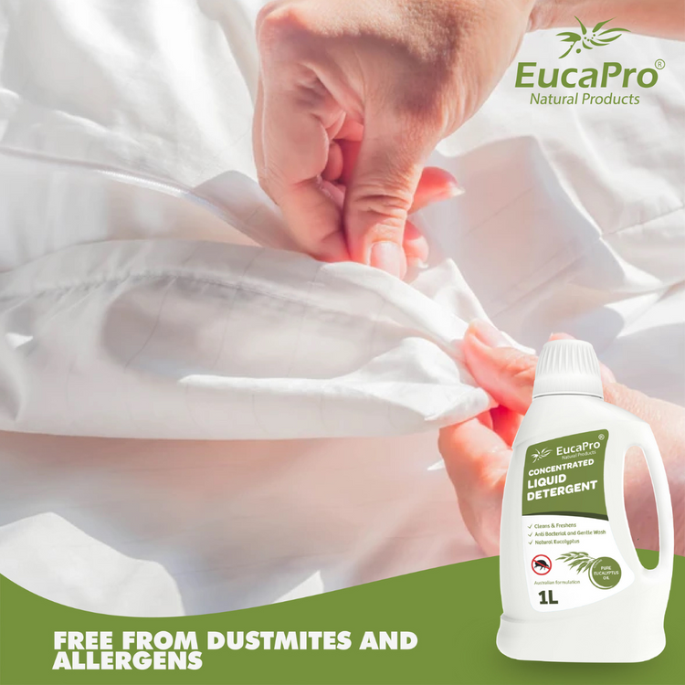Eucapro Antibacterial Eucalyptus Concentrated Liquid Detergent (1Liter)