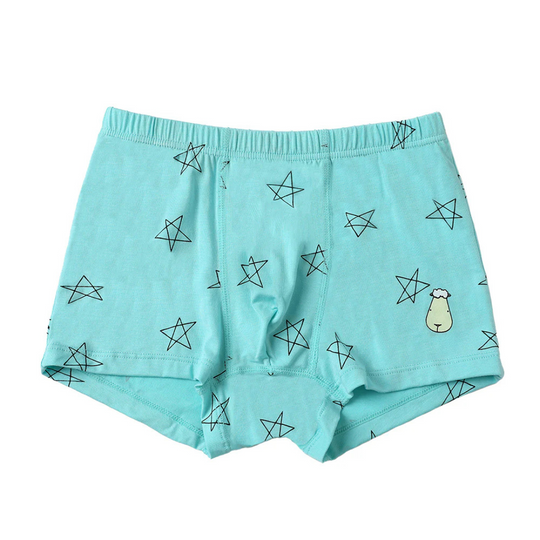 Baa Baa Sheepz Boys Boxer C009-M (3pcs) (5-6 years)