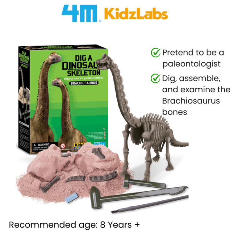 4M KidzLabs - Dig a Brachiosaurus Skeleton (5Y+)
