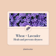 Translation missing: ms.sections.featured_product.gallery_thumbnail_alt