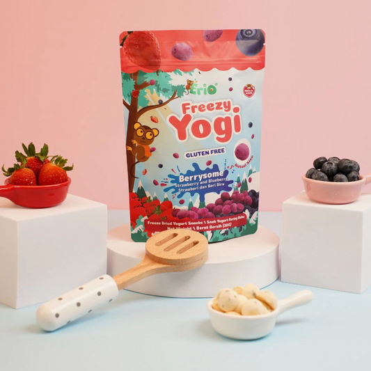 Erio Freezy Yogi Freeze Dried Yogurt Snacks (30g)