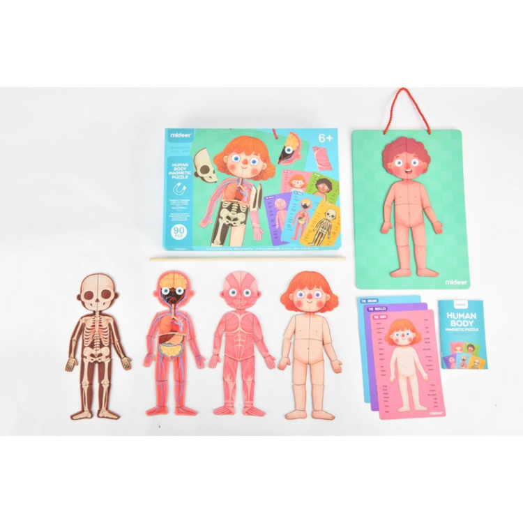 Mideer Body Magnet Puzzle 7 Languages (90 Pcs) (6Y+)