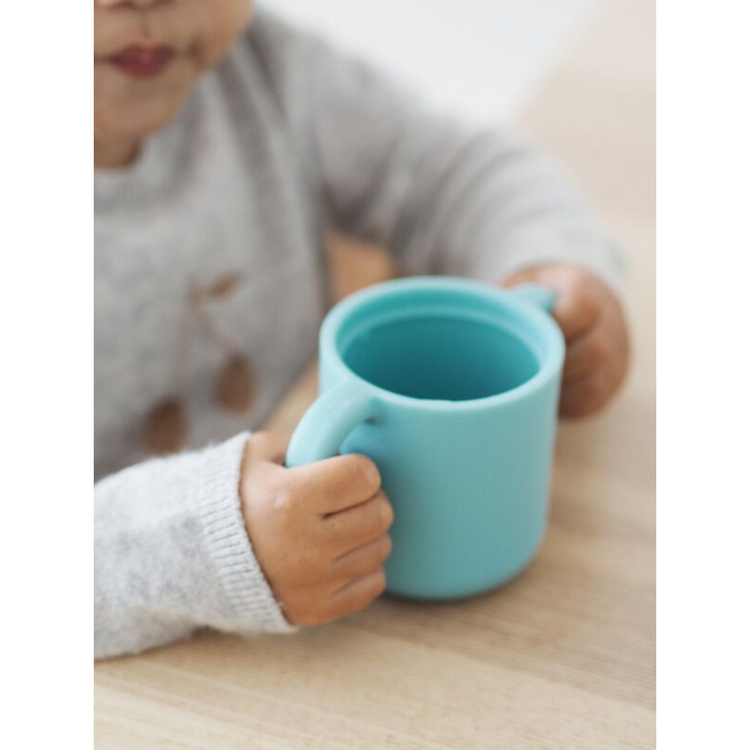 Beaba Silicone Learning Cup with Spout Lid