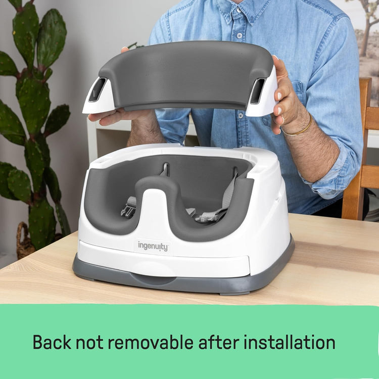 Ingenuity Baby Base 2-In-1 Seat (6m+)