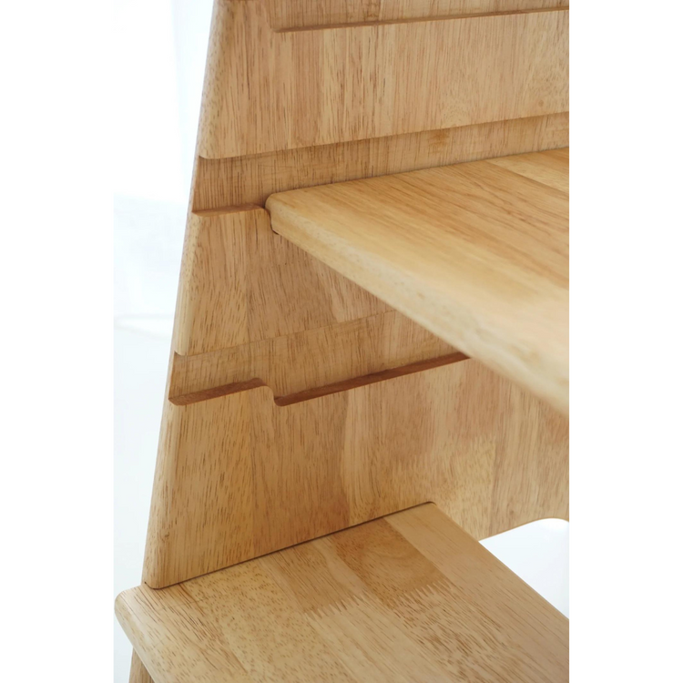AdenandRen Rimba Learning Tower