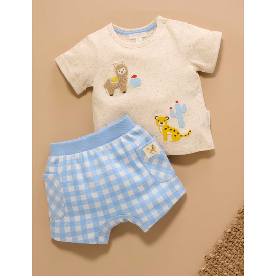 Purebaby Organic Caribbean Gingham Short and Tee Set