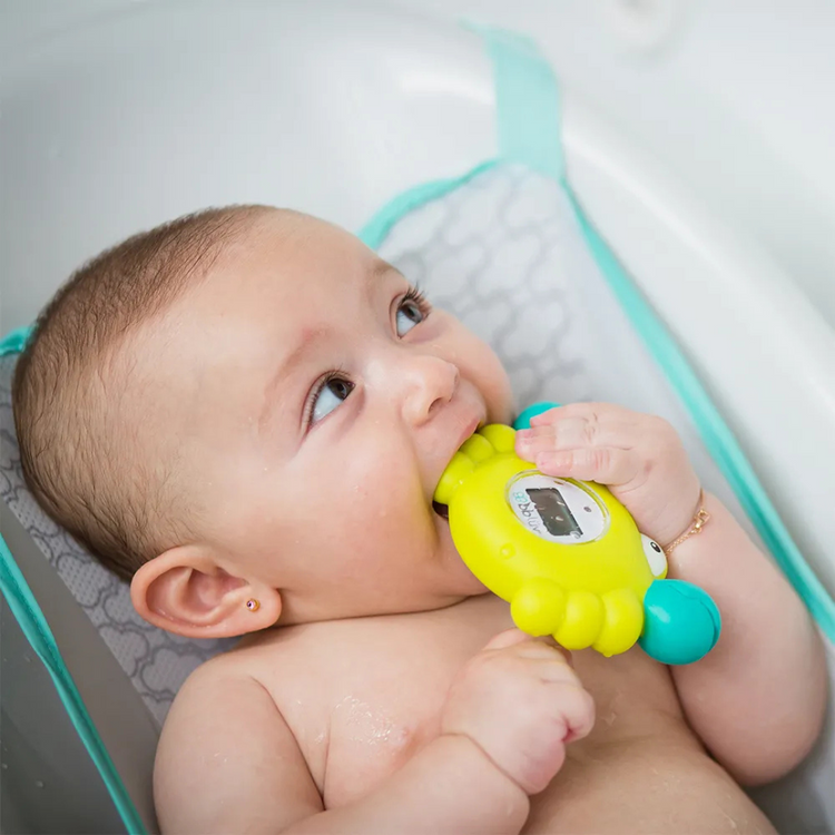 bbluv Krab 3-in-1 Thermometer & Bath Toy