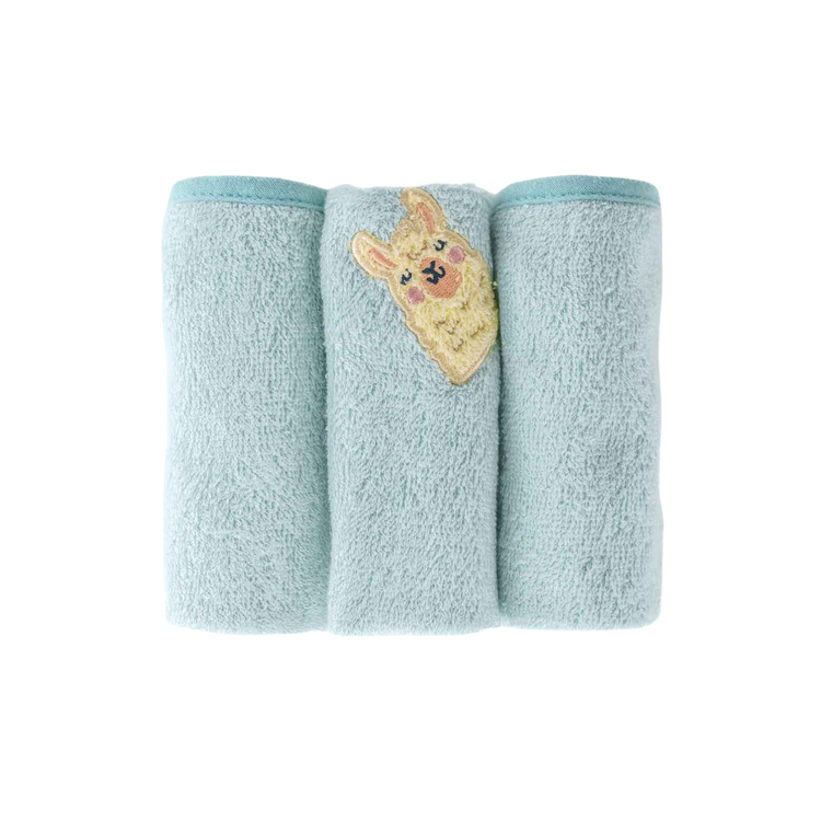 Snapkis 2-Sided Washcloth (3 Packs)